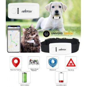 TKSTAR Collier GPS Tracker animaux chien chat - anti perte | Maroc